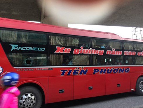 hanh_hung_da_sua_qyjf