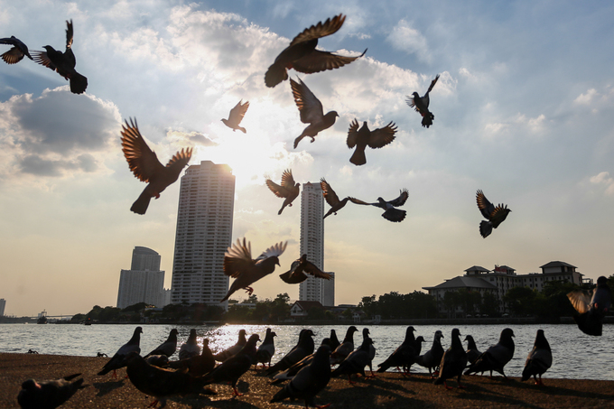 chua-Thai-9-1527586902_680x0