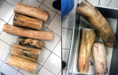 ngavoi-5664-1527753564