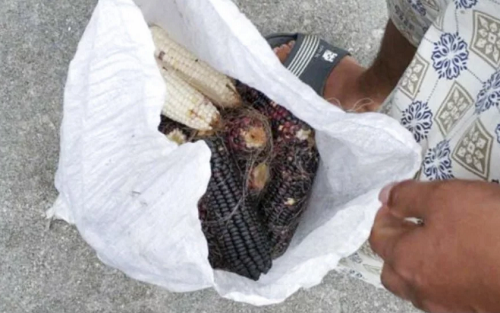 sinh-vien-bi-trom-ngo-1-3888-1531213453