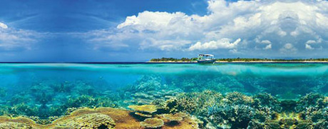 4-9515-1534659363_m_460x0