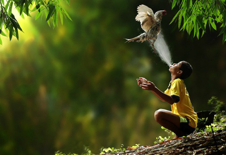 6-7099-1534659363_m_460x0