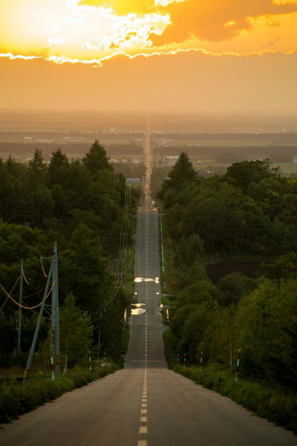 1F470F226E3A4A24BC62CB513A6E85-5579-2736-153621027