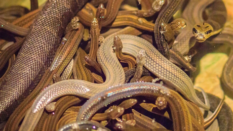 1536784605898-3375-1536883155_m_460x0