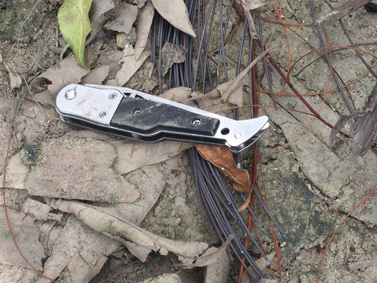 anh2-15407996830332050984835