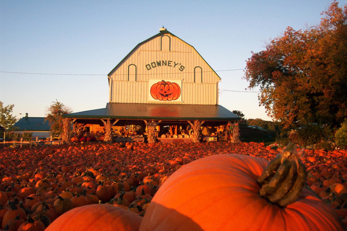 1_downeys__Wikimedia_Commons