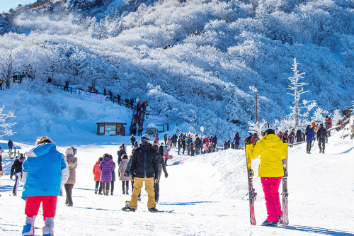 919651553-w500-4318-1542356755-5909-1542808898