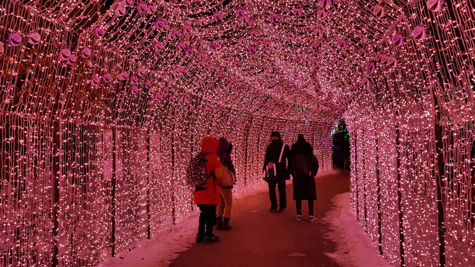 7-Garden-of-Morning-Calm-1544415475_680x0