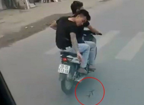 raidinh-7215-1546175353