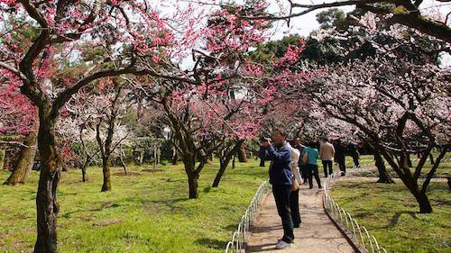 2013-01-9732-1547782368