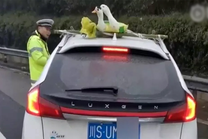 giaothng1-1550114506-155011451-5431-3182-155011459