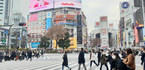 631543919-w500-7956-1552446445 (1)