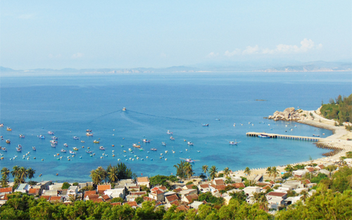 culaoxanh-4458-1552970219