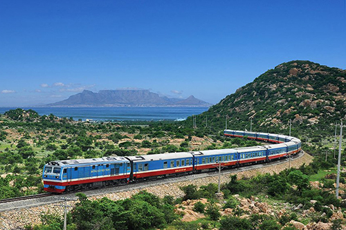 tu-van-di-quy-nhon-vnexpress-2-1967-1596-155290531