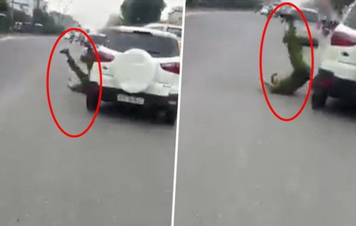 D069F0A7-3B55-4911-8F5B-5A59E30126E1.