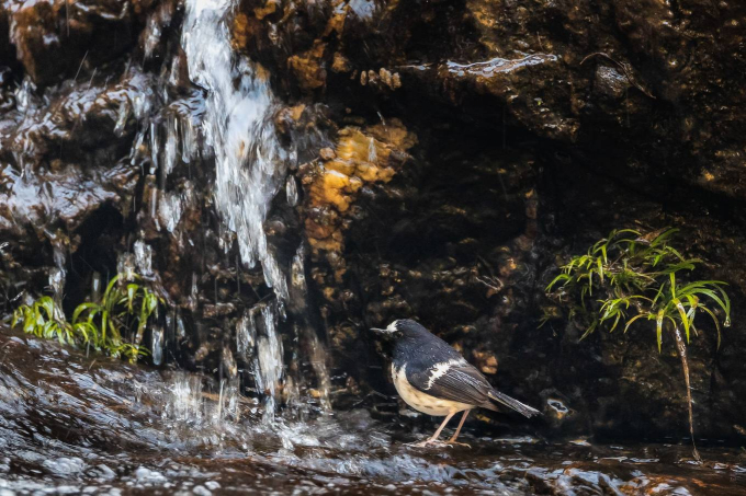 10-1555404950_r_680x0