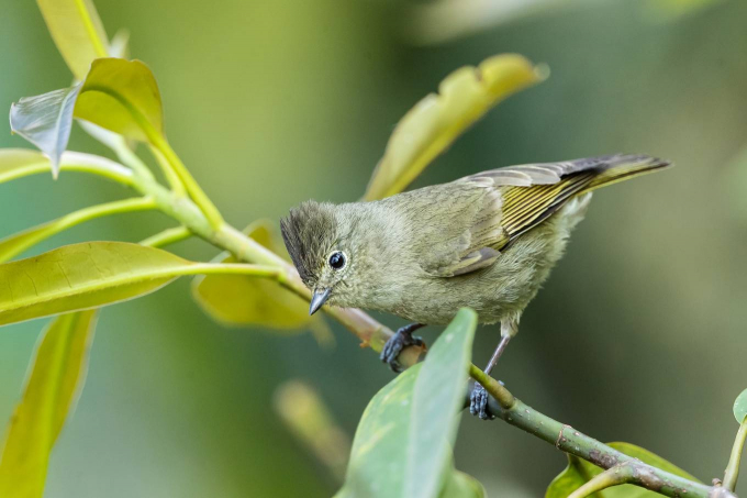 2-1555404945_r_680x0