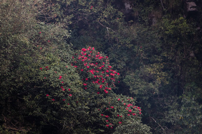 5-1555404947_r_680x0