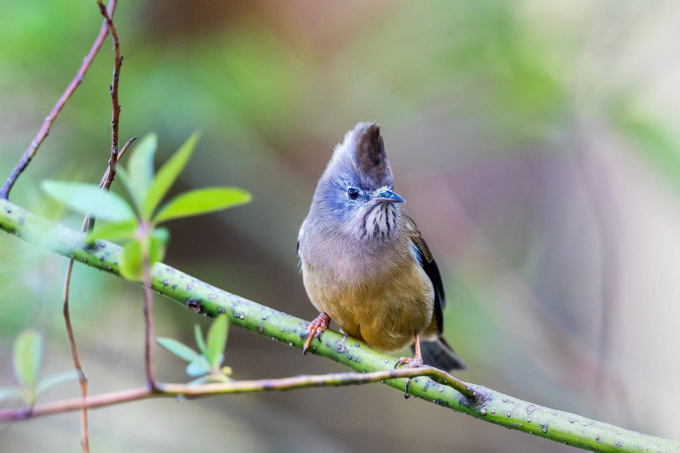 8-1555404949_r_680x0