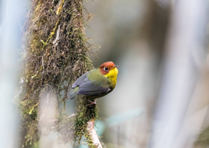 9-1555404950_r_680x0