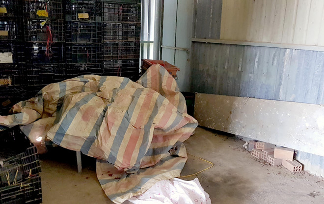 60250433_1094820140729006_6078968677783306240_n