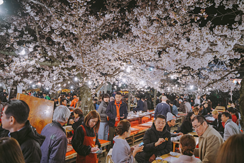 nhat-ban-mua-hoa-anh-dao-vnexp-4842-6914-155840548