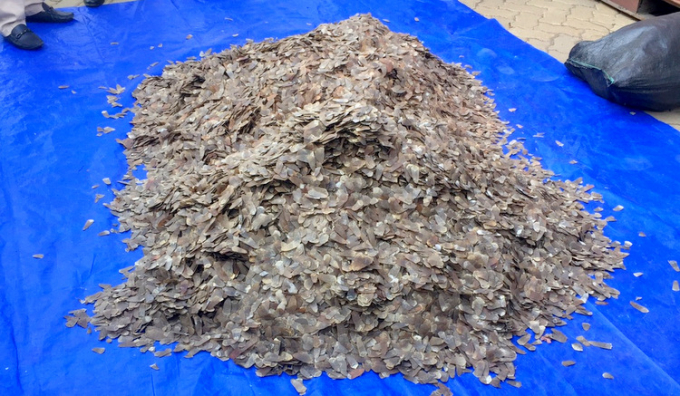 IMG-20190523-180254-5064-1558610272