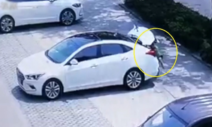 Tretuvongvimackettrongoto-1559-2218-3517-155980576