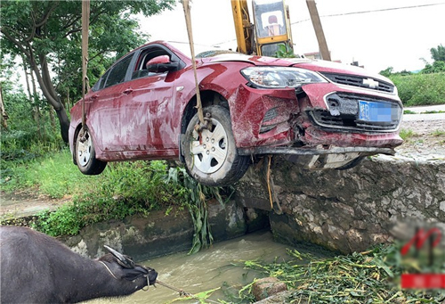 Chevrolet-1-1526-1563508345