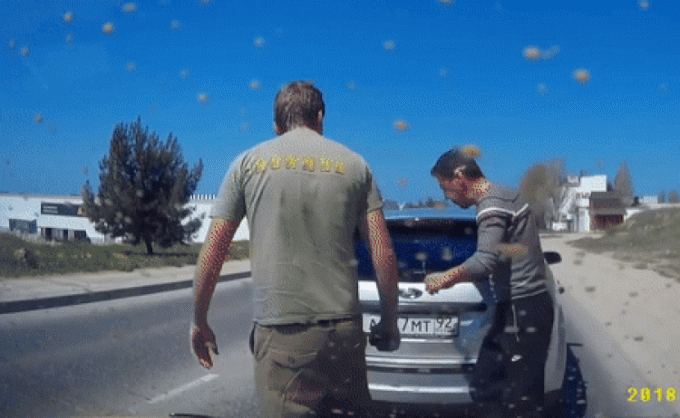 ezgif39bd36e184044-1563763370-4507-1563765272_1200