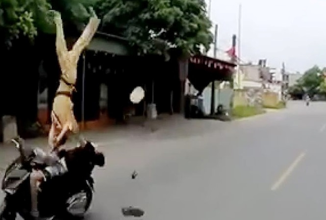 66816205_2201141963316484_7652841894166134784_n_rw