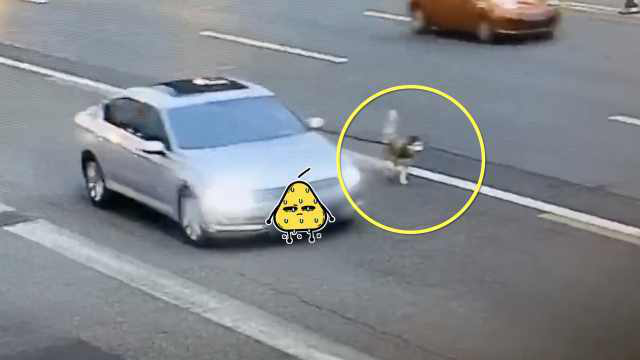 chuyen-la-o-to-chay-tren-cao-toc-buoc-day-xich-dat