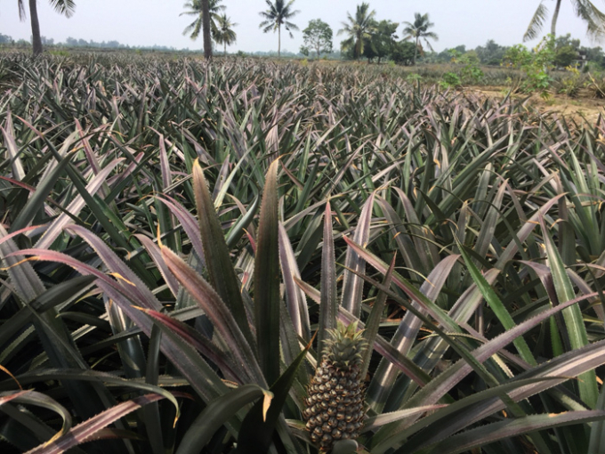 khom-5679-1574917001