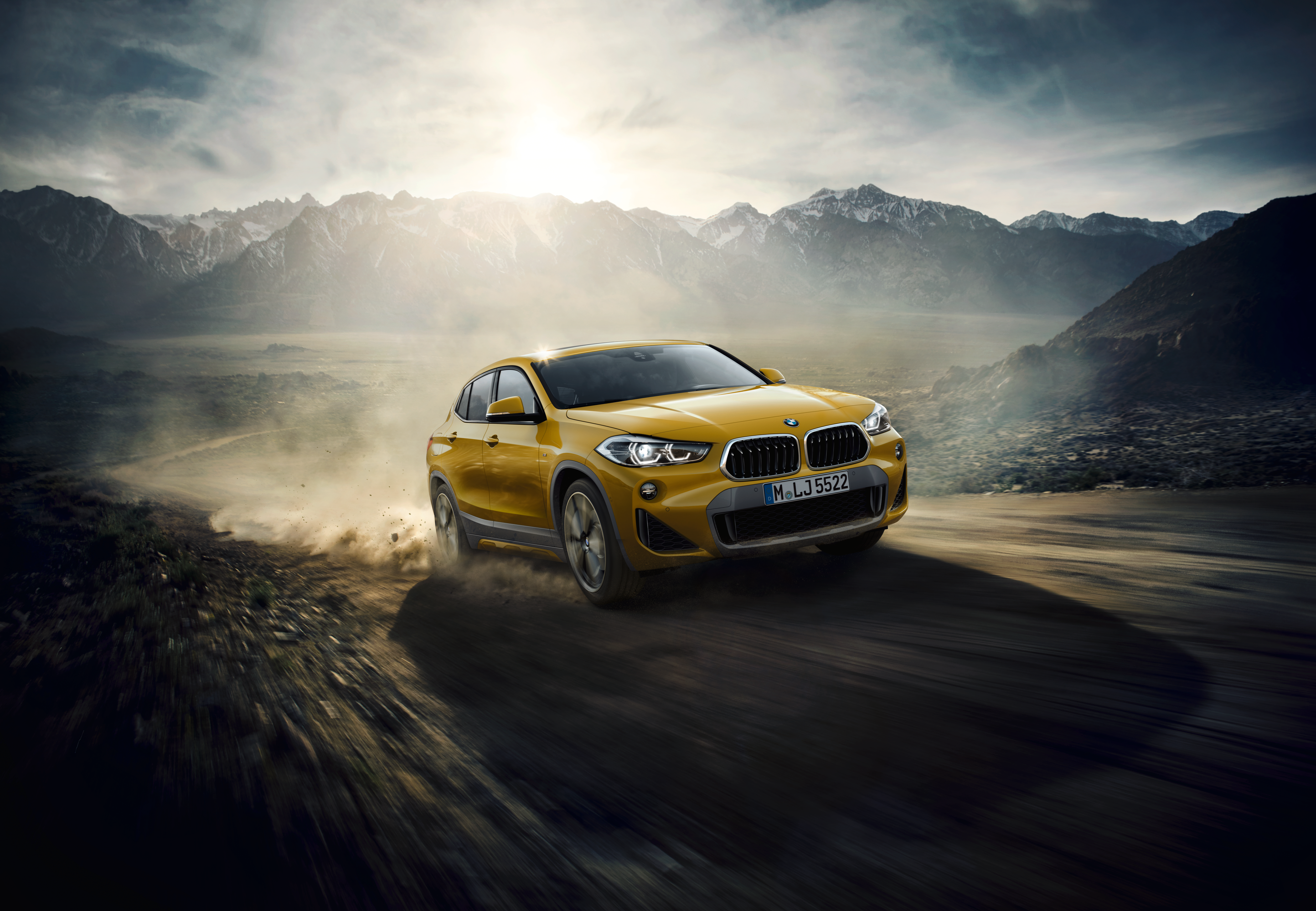 BMW X2-5