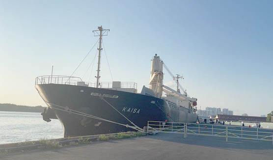 hon-2-16206067740372629073.