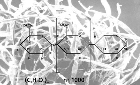Chuyện giờ mới kể về cầu Thăng Long (phần 5) - Ảnh 5.