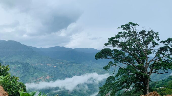 Núi Ngọc Linh, xã Trà Linh, huyện Nam Trà My, vùng phát triển sâm Ngọc Linh lớn nhất Quảng Nam. Ảnh: Đ.T