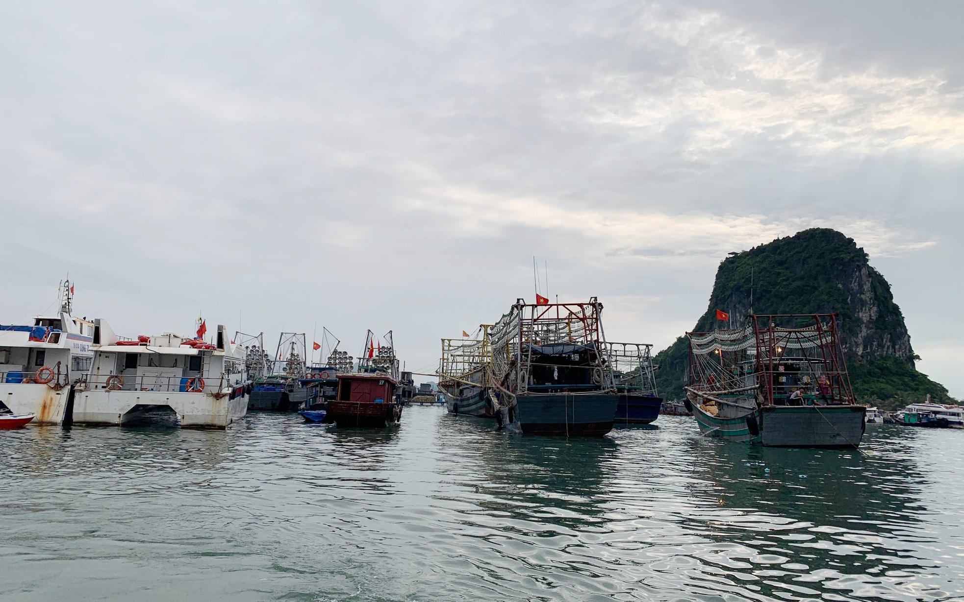 Quảng Ninh tạm ngừng cấp phép tàu ra khơi do ảnh hưởng của bão số 5 