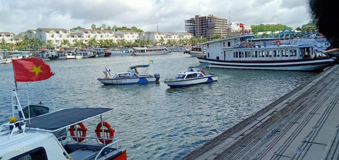 Rơi từ tàu du lịch xuống biển một thuyền viên tử vong ở Tuần Châu