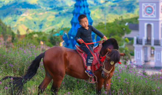 Vì sao nhất định phải đến Sa Pa ngay trong tháng 7